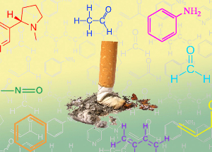 NicoZero receptors prevents nicotine sensitivity