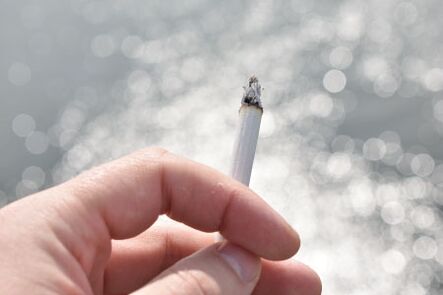 Cigarette smoking is highly toxic to the human body